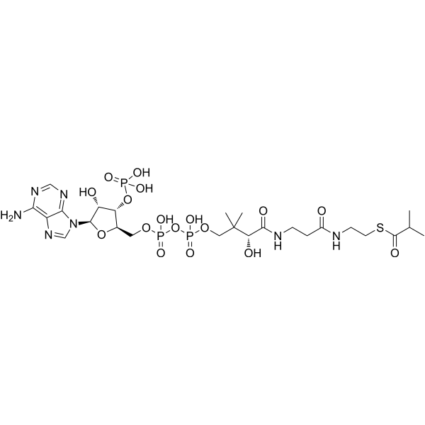 Isobutyryl-CoA 15621-60-0